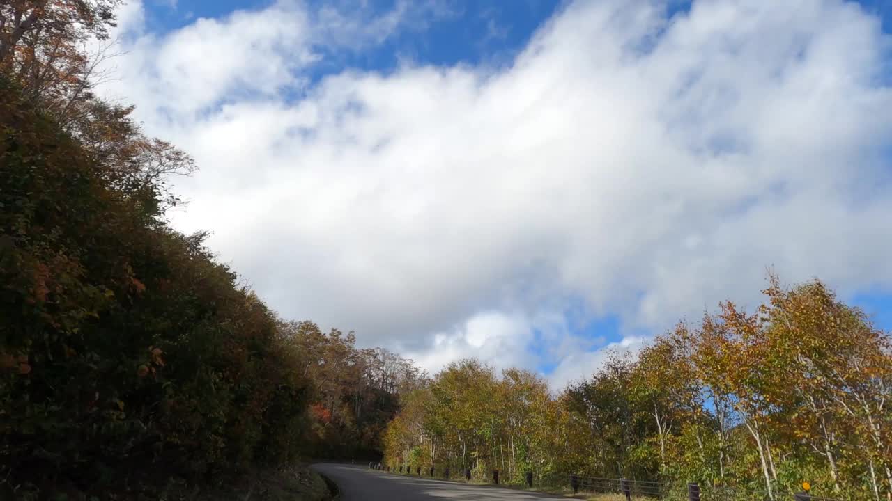 行驶在秋叶飘飘的山路上视频素材