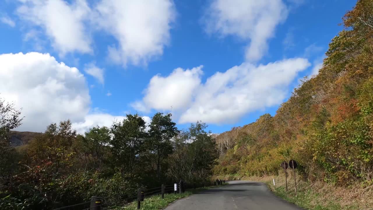 行驶在秋叶飘飘的山路上视频素材