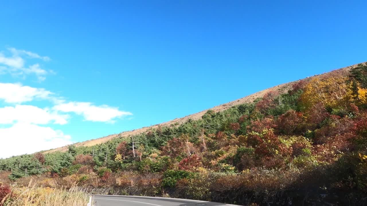 行驶在秋叶飘飘的山路上视频素材