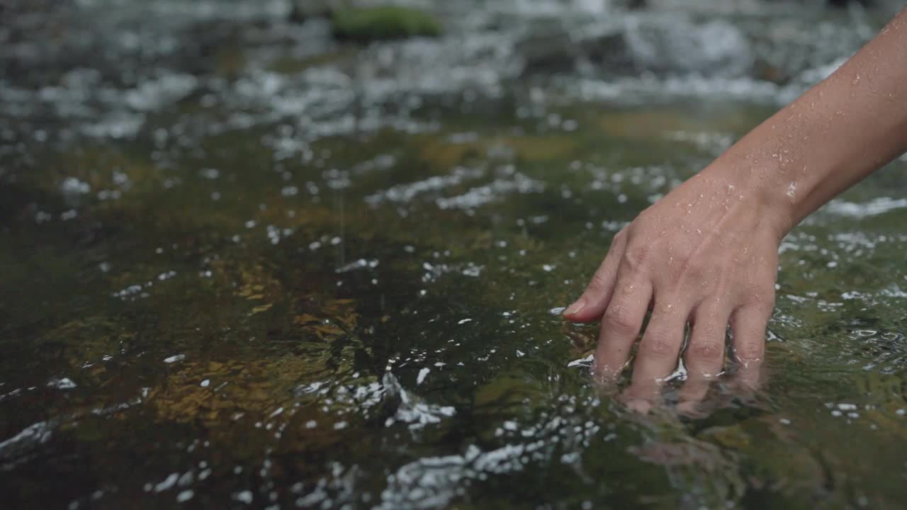 靠近女人的手触摸水面在森林河流或湖泊。视频素材