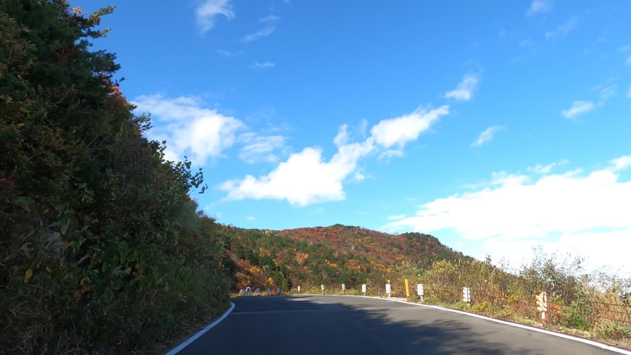 行驶在秋叶飘飘的山路上视频素材