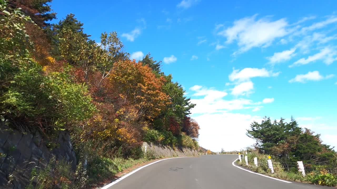 行驶在秋叶飘飘的山路上视频素材