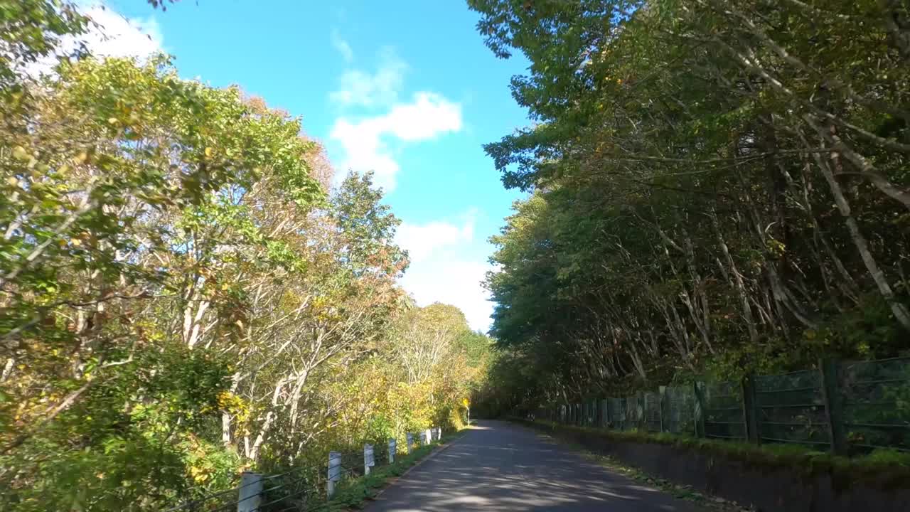 行驶在秋叶飘飘的山路上视频素材