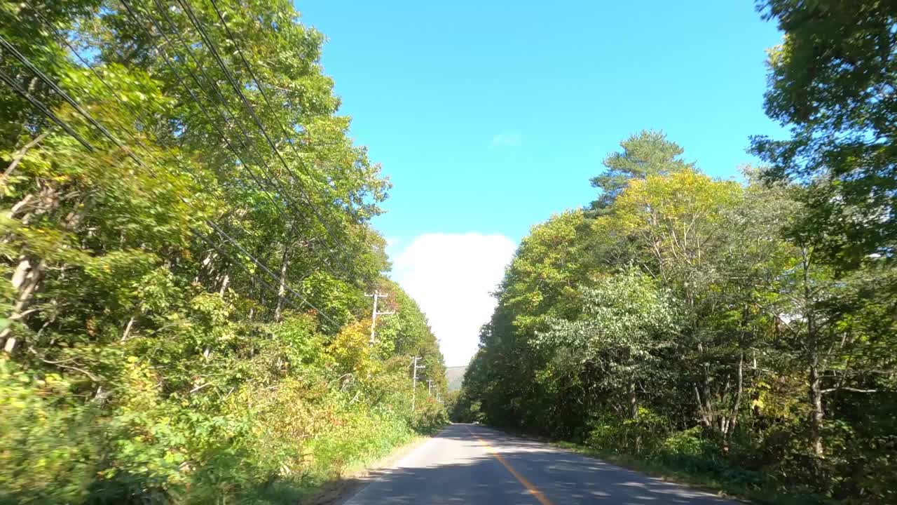 行驶在秋叶飘飘的山路上视频素材