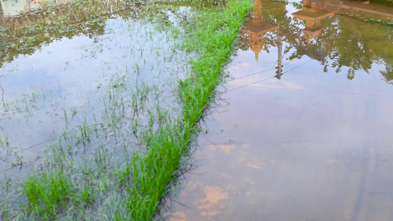 生活在雨季视频素材