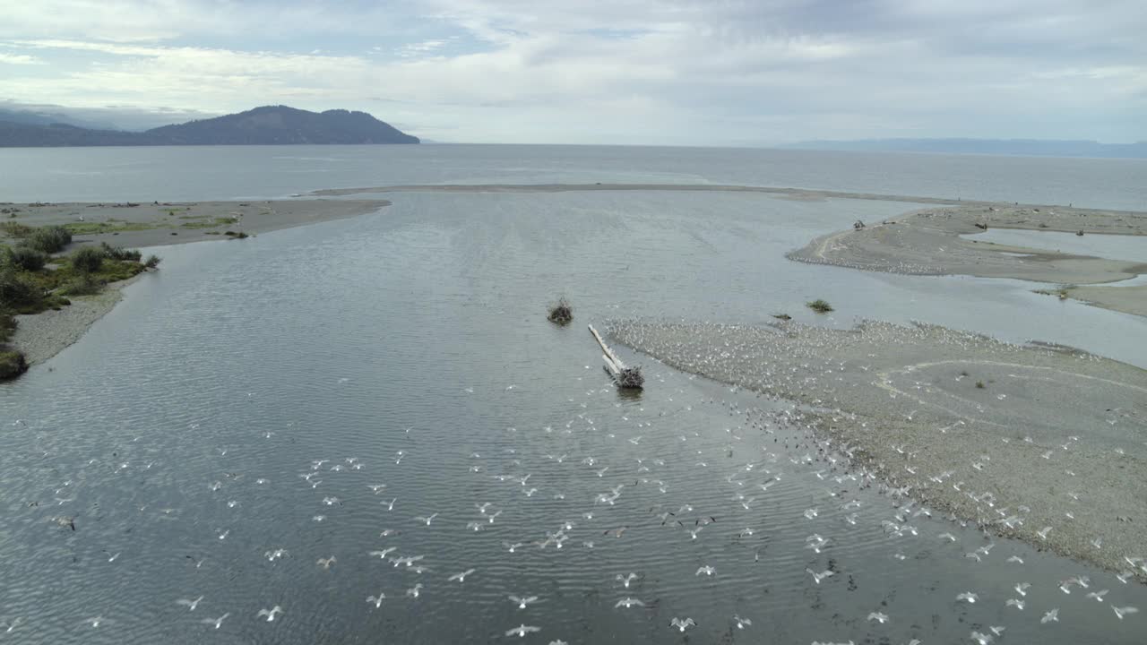 阿尔瓦河口连接海，美国视频素材