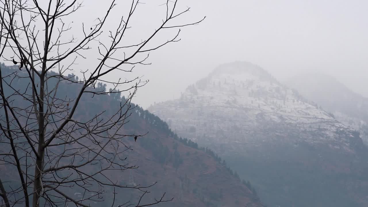 在印度喜马偕尔邦的马纳利，冬季积雪覆盖的山峰。在冬天被雪覆盖的山视频素材