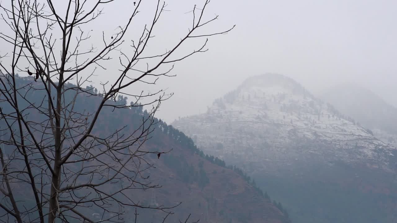 在印度喜马偕尔邦的马纳利，冬季积雪覆盖的山峰。在冬天被雪覆盖的山视频素材