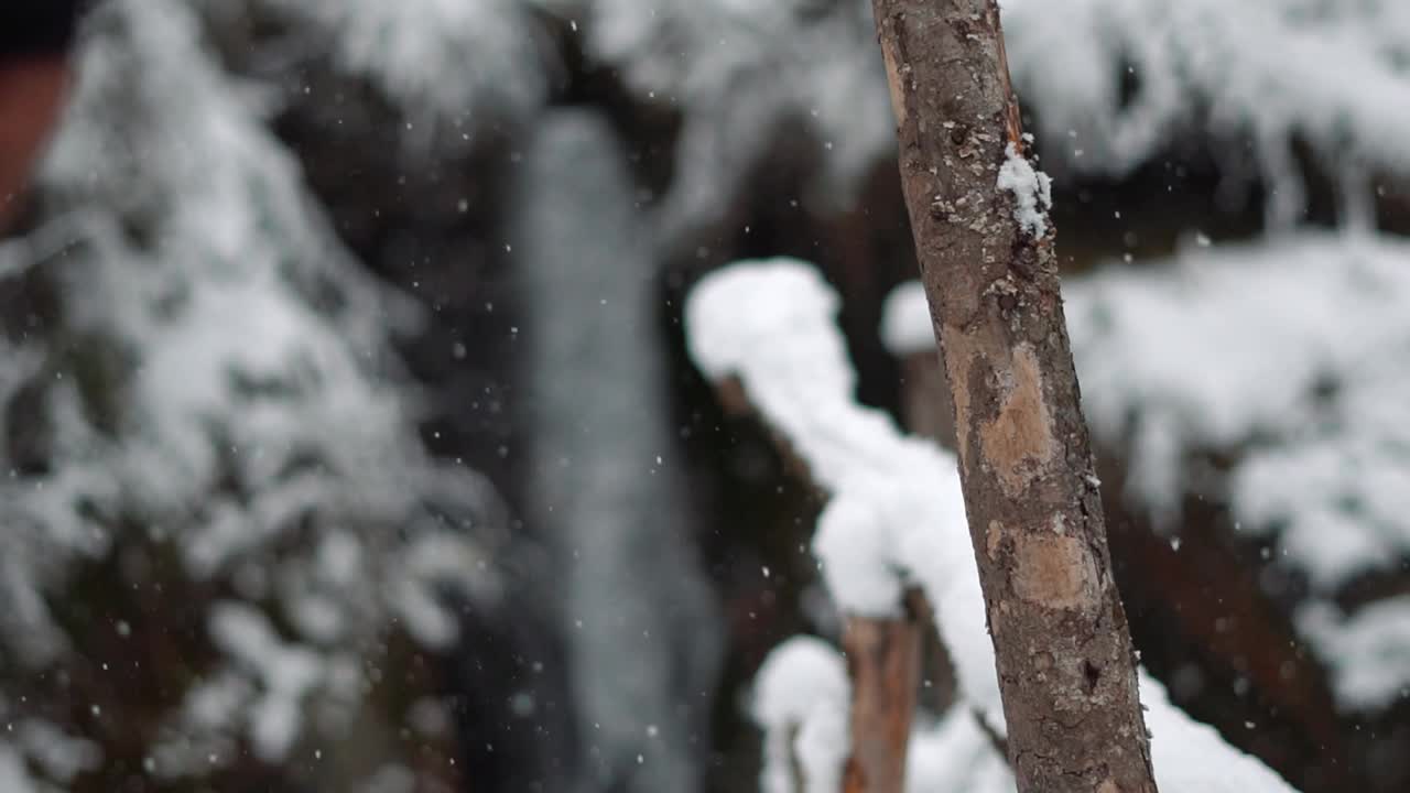 在印度喜马偕尔邦Kullu，一名男子走向Jana瀑布的雪景慢镜头视频素材