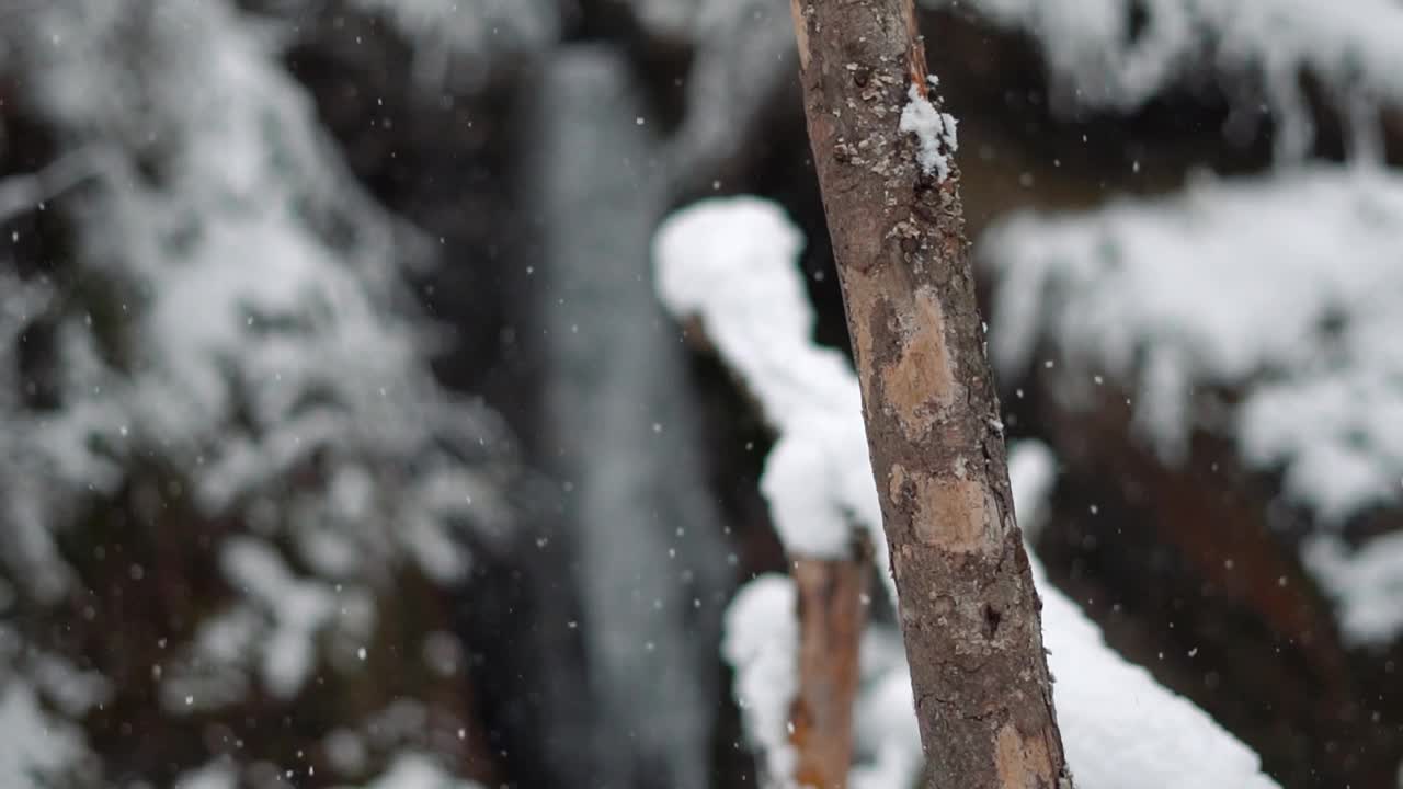 印度喜马偕尔邦马纳里冬季降雪的慢动作镜头视频素材