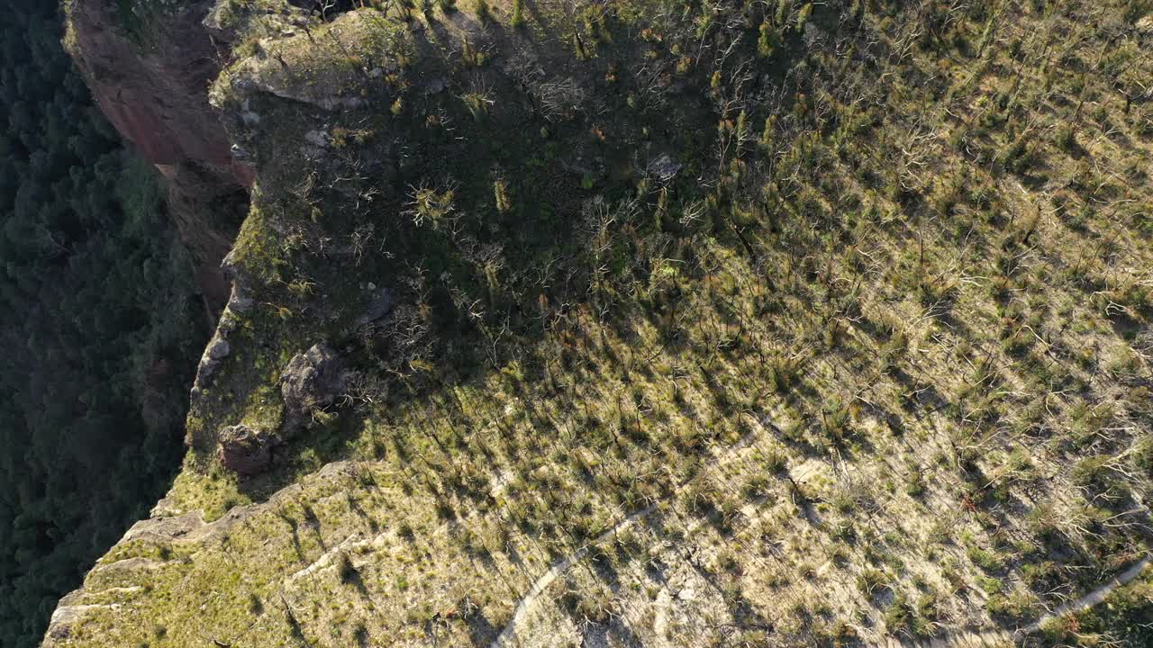 高山景观，移动的悬崖边缘，森林黑暗的山谷，空中视频素材