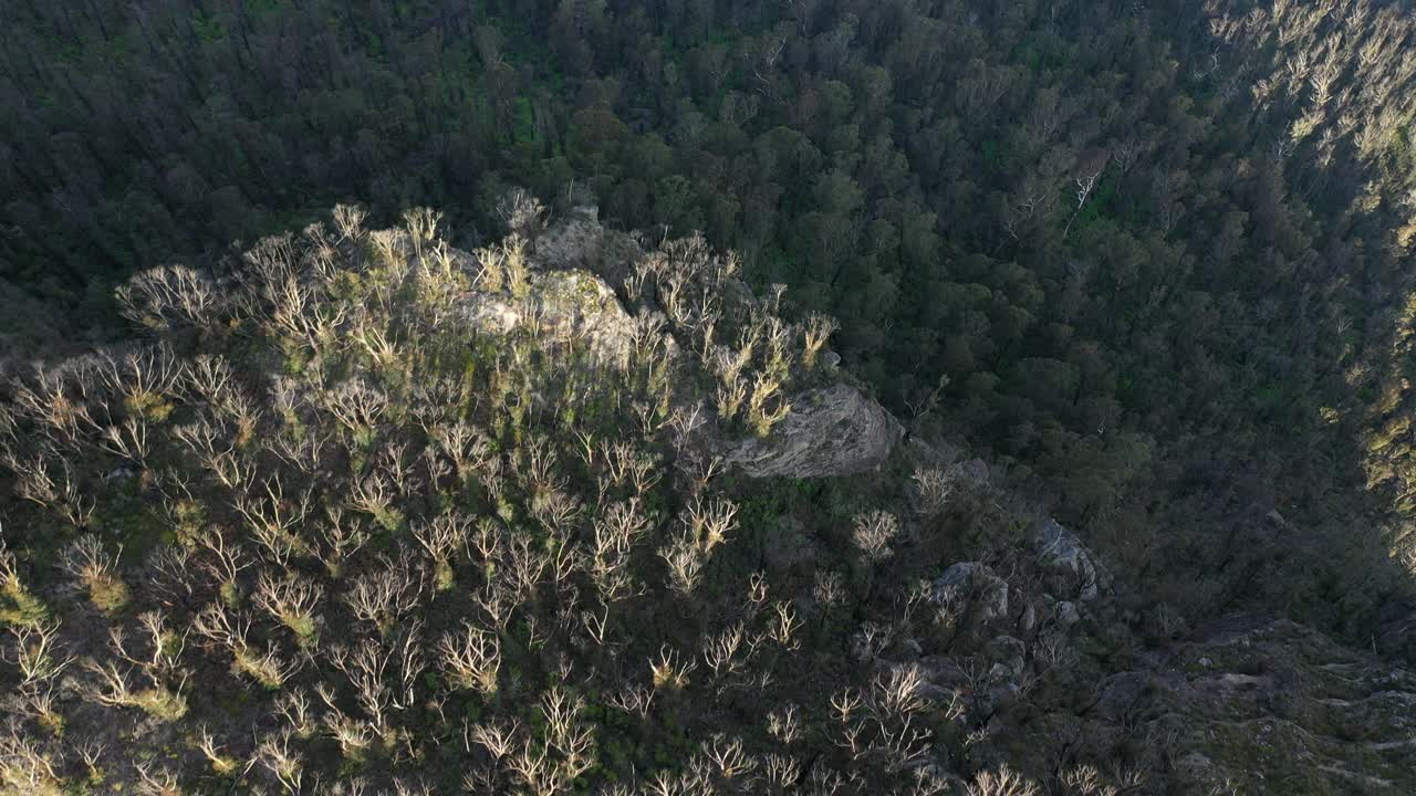 高山景观，移动的悬崖边缘，森林黑暗的山谷，空中视频素材