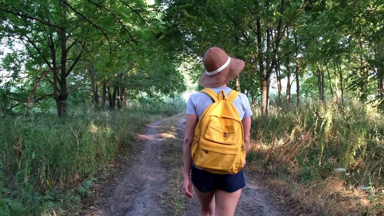 一个背着背包的女游客在夏日的树林里散步。女性徒步穿越森林。旅游的概念视频素材