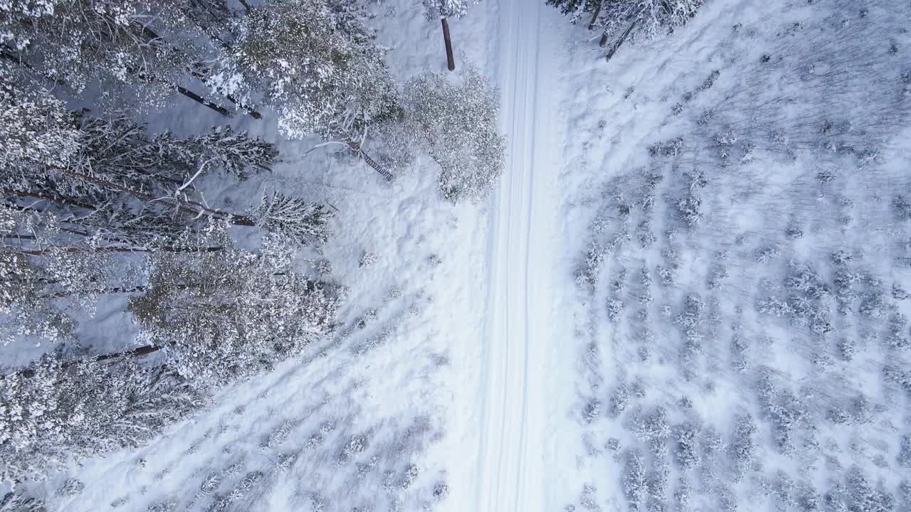 阳光灿烂的雪道在冬季森林自上而下的鸟瞰图视频素材