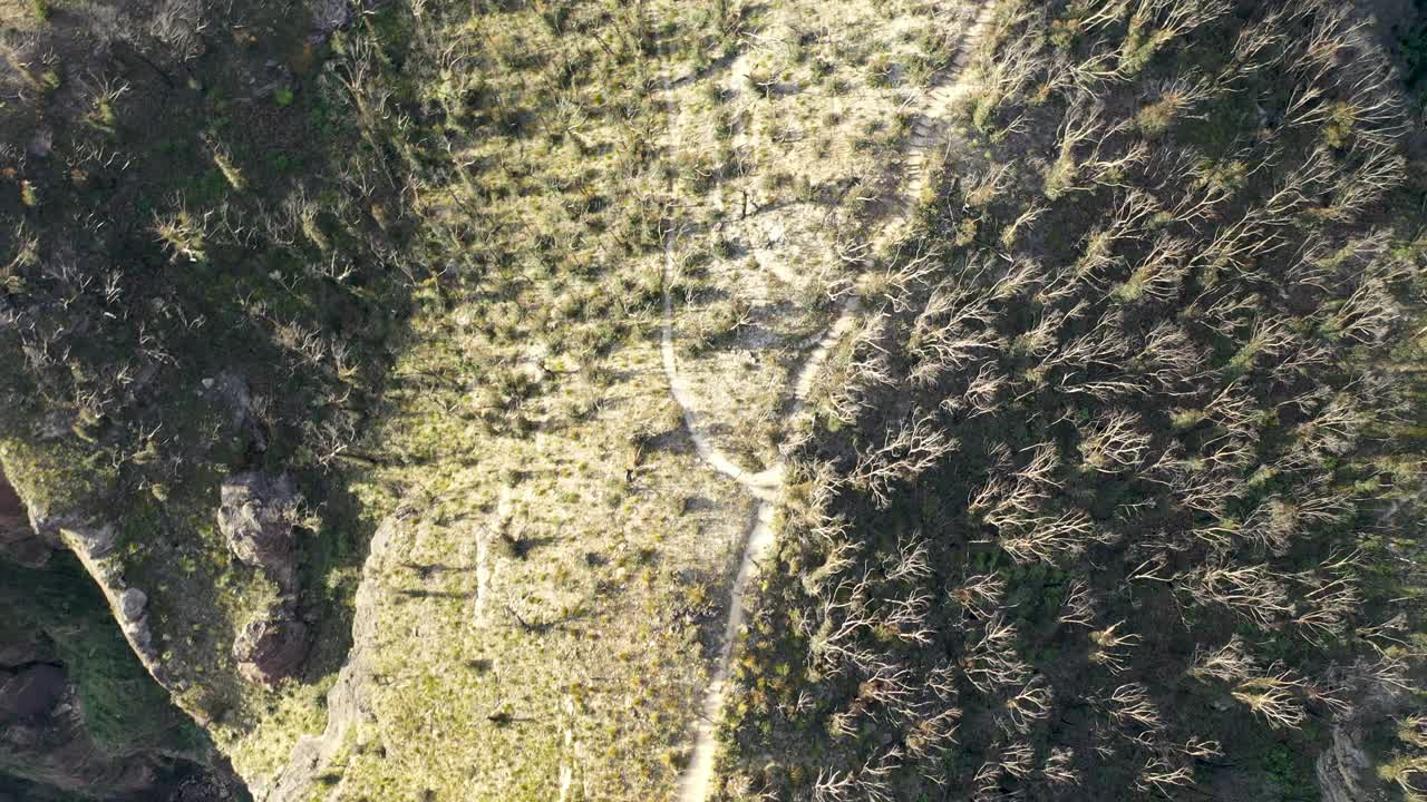 在森林的山地步道，树木的山谷鸟瞰图，澳大利亚视频素材