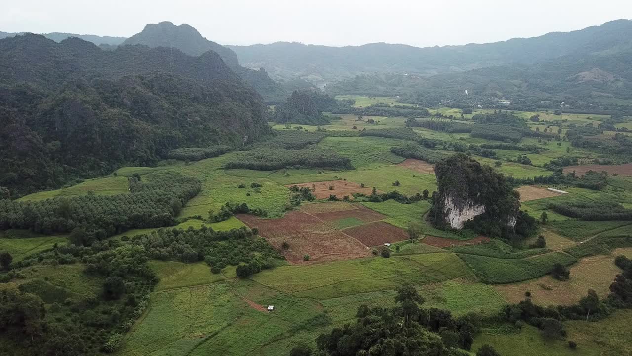 在雨季，无人机上升时，普禄卡森林公园的景色。视频素材