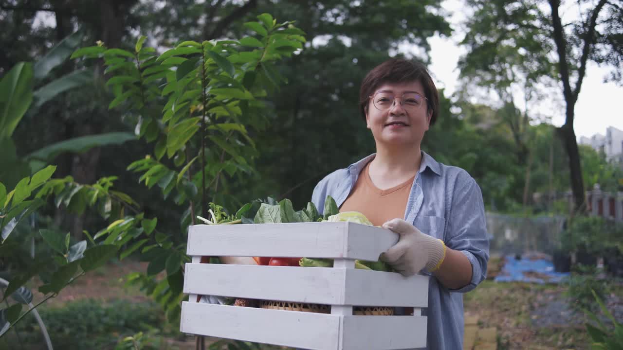 可持续的生活方式肖像自信亚洲华人中年妇女微笑着看着相机，在后院的菜园里提着一箱蔬菜耕种视频素材