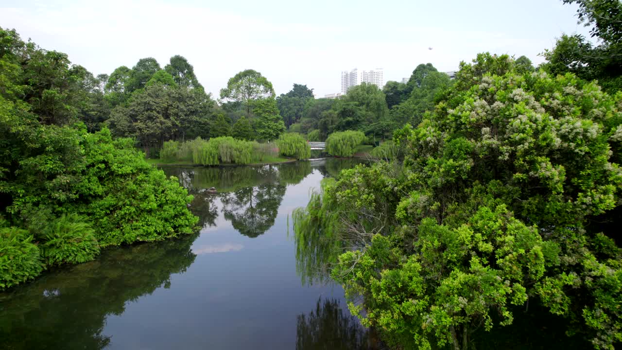 无人机飞越湖泊和池塘视频素材