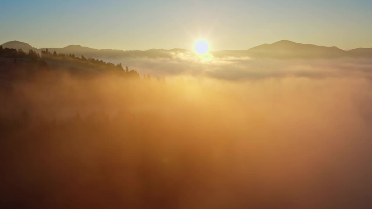 雾太阳森林山神奇美丽的早晨自然旅行视频素材