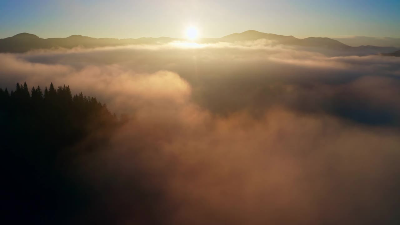 雾太阳森林山神奇美丽的早晨自然旅行视频素材