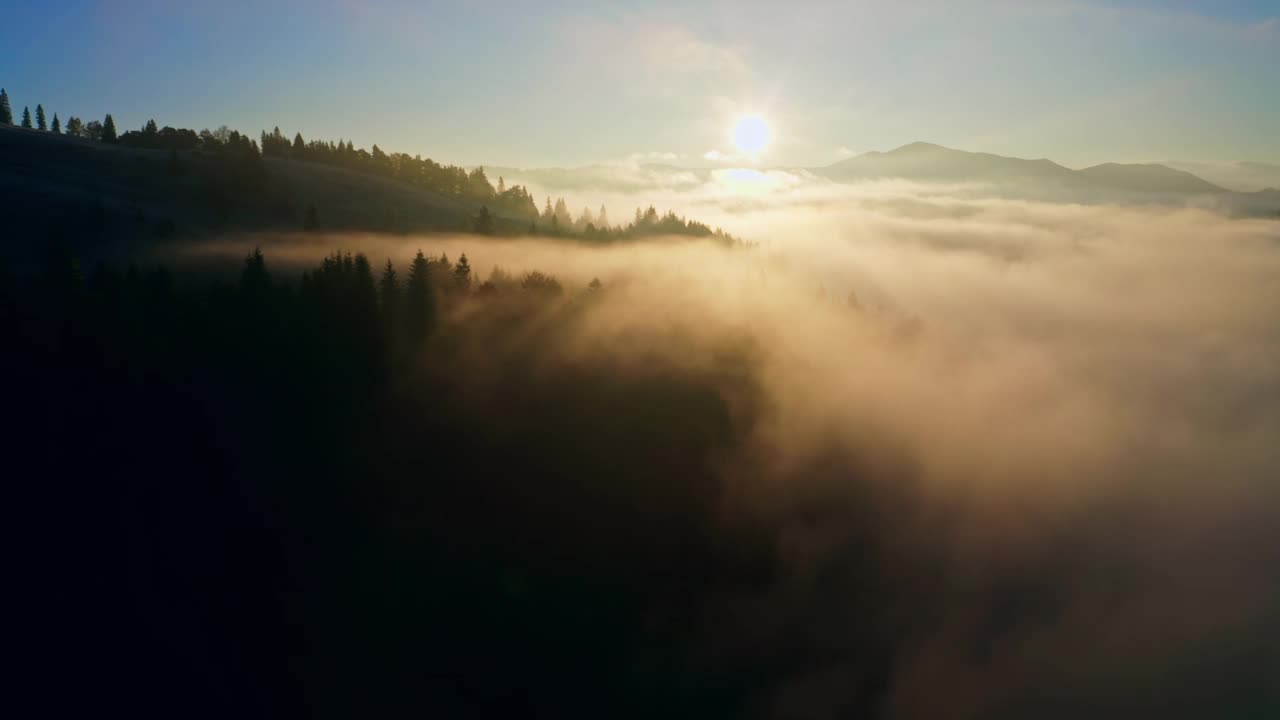 雾太阳森林山神奇美丽的早晨自然旅行视频素材