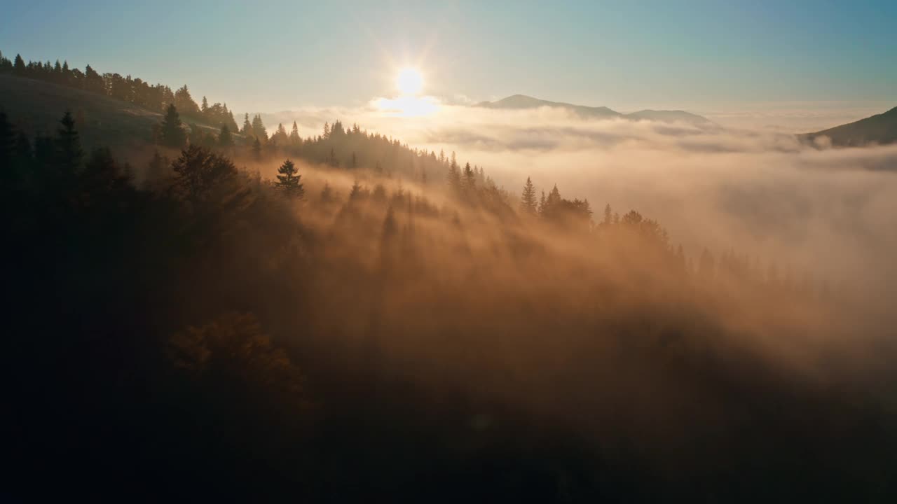 雾太阳森林山神奇美丽的早晨自然旅行视频素材