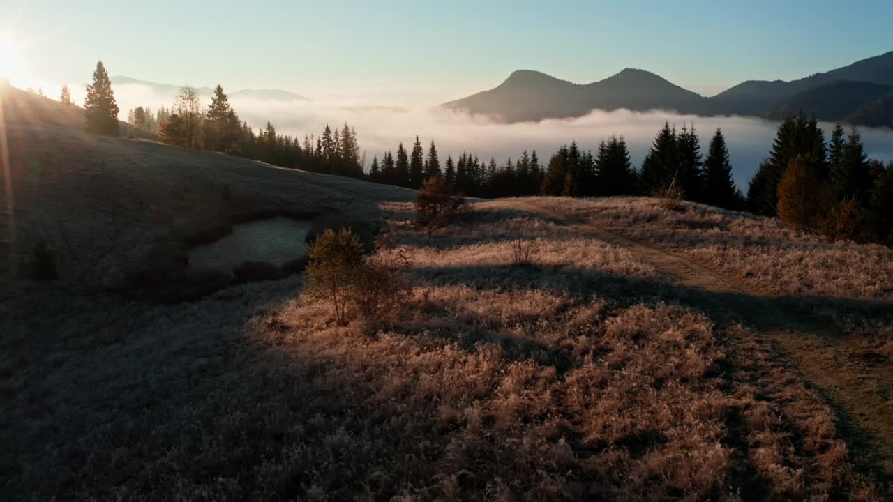 雾太阳森林山神奇美丽的早晨自然旅行视频素材