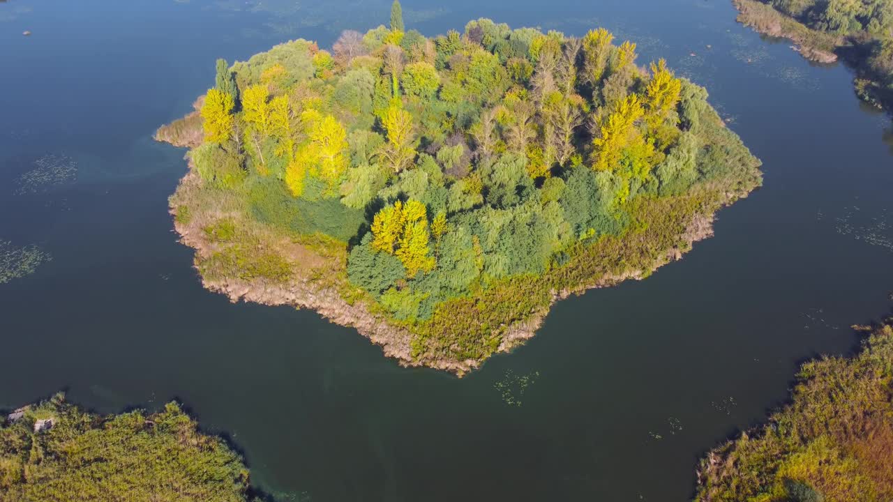 岛间长满森林的湖，鸟瞰视频素材