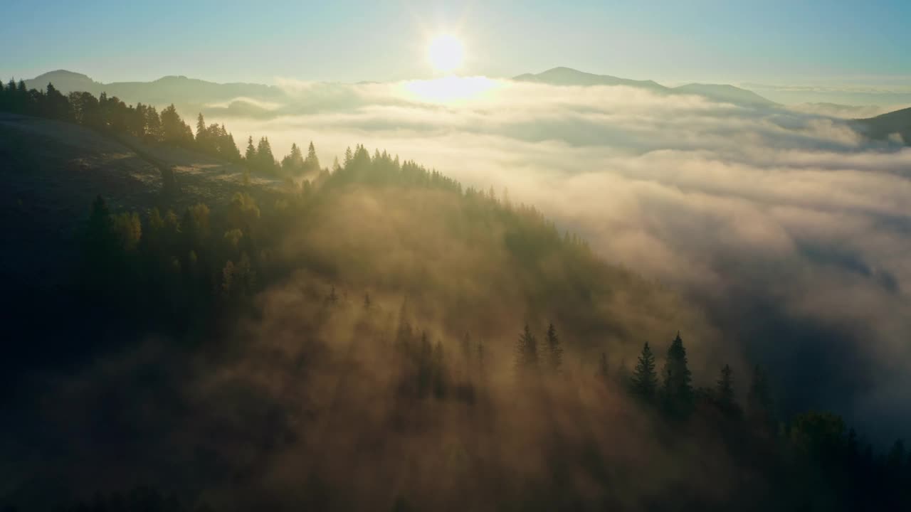 雾太阳森林山神奇美丽的早晨自然旅行视频素材