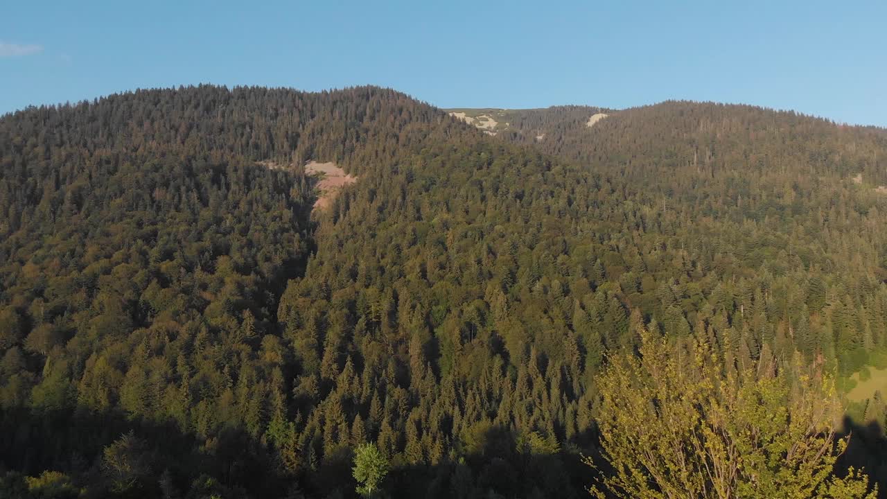 一列火车的鸟瞰图，火车离开隧道，在夏季的山上郁郁葱葱的绿色森林。视频下载