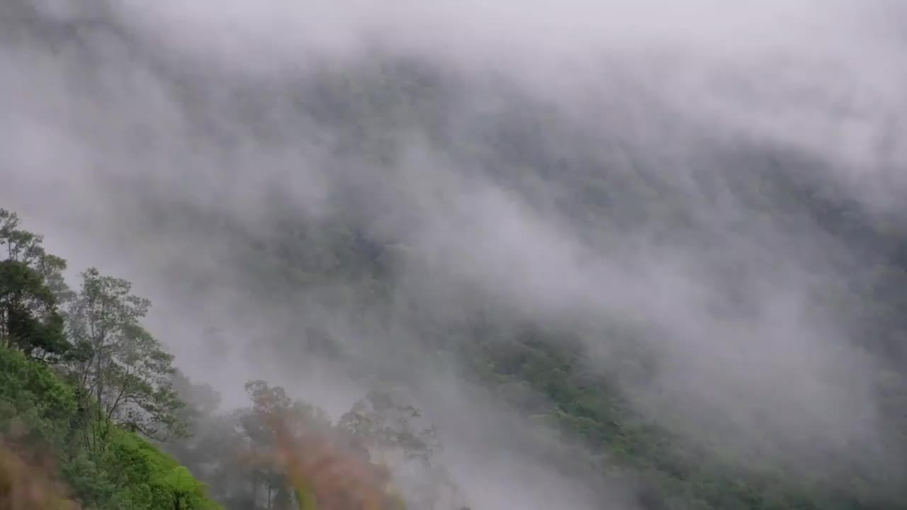 慢动作景观景观的绿色雨林山在雾天视频素材