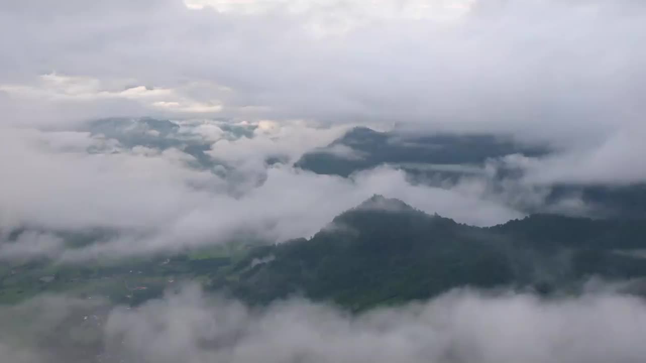 慢动作景观景观的绿色雨林山在雾天视频素材