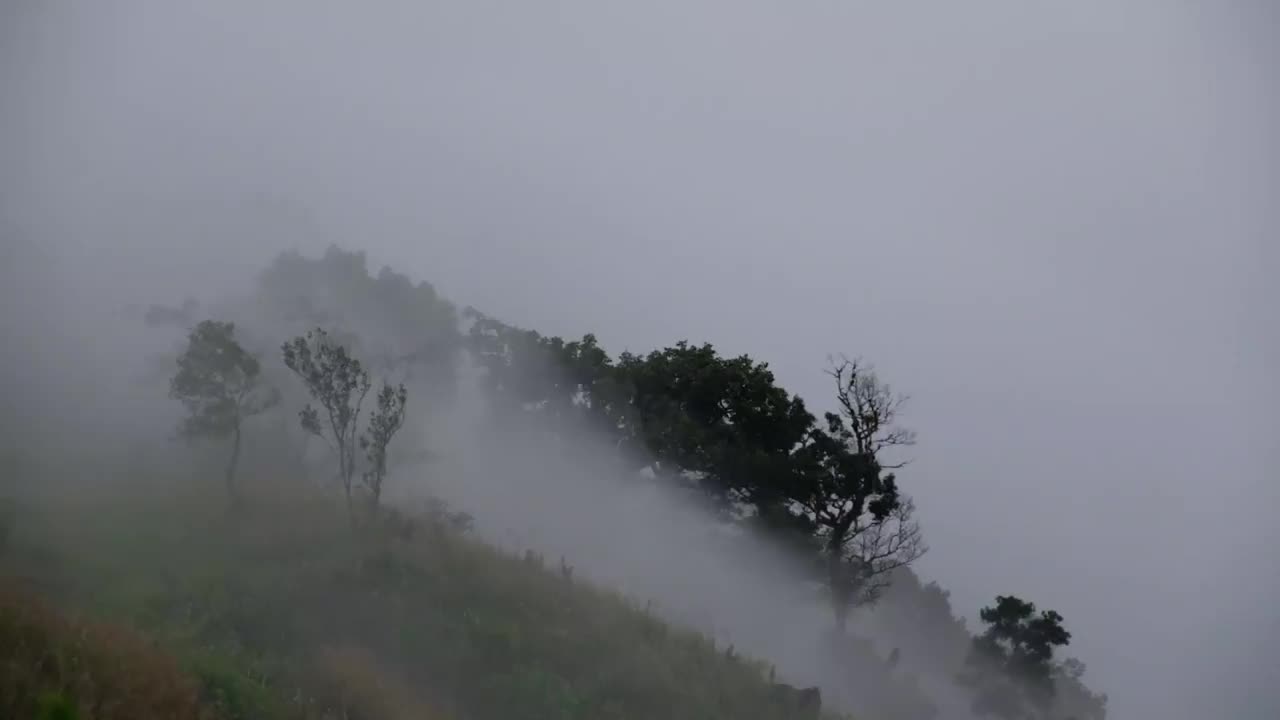 慢动作景观景观的绿色雨林山在雾天视频素材