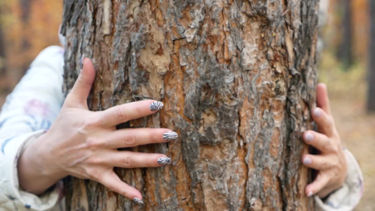 一个女人抱着一根宽阔的树干的特写镜头。人与自然和谐相处的主题。保护和爱护环境。一个女人在大自然中休息和做梦。树保健。有选择性的重点视频素材