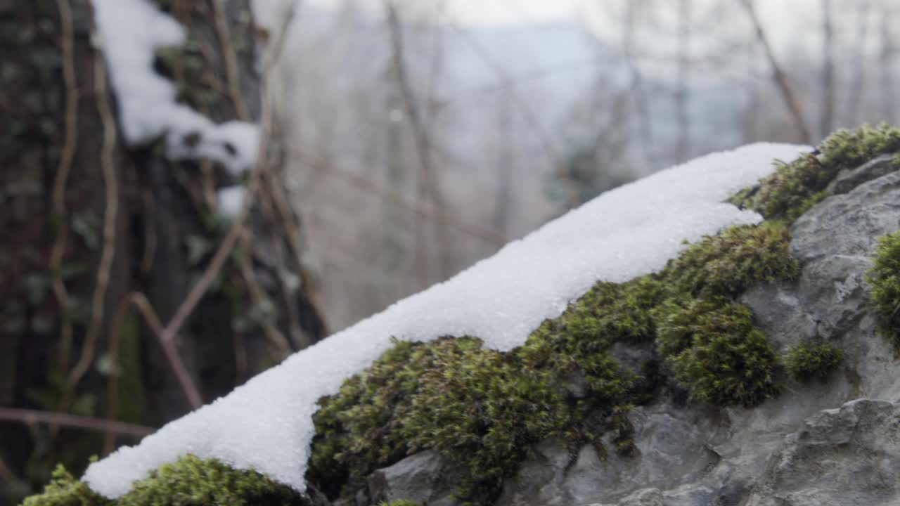 石头上的雪和草视频素材