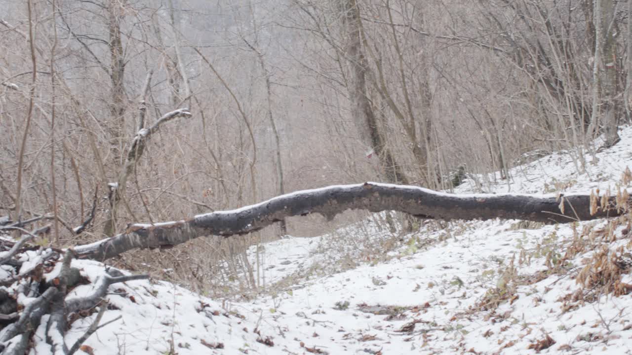 走在雪山上视频素材