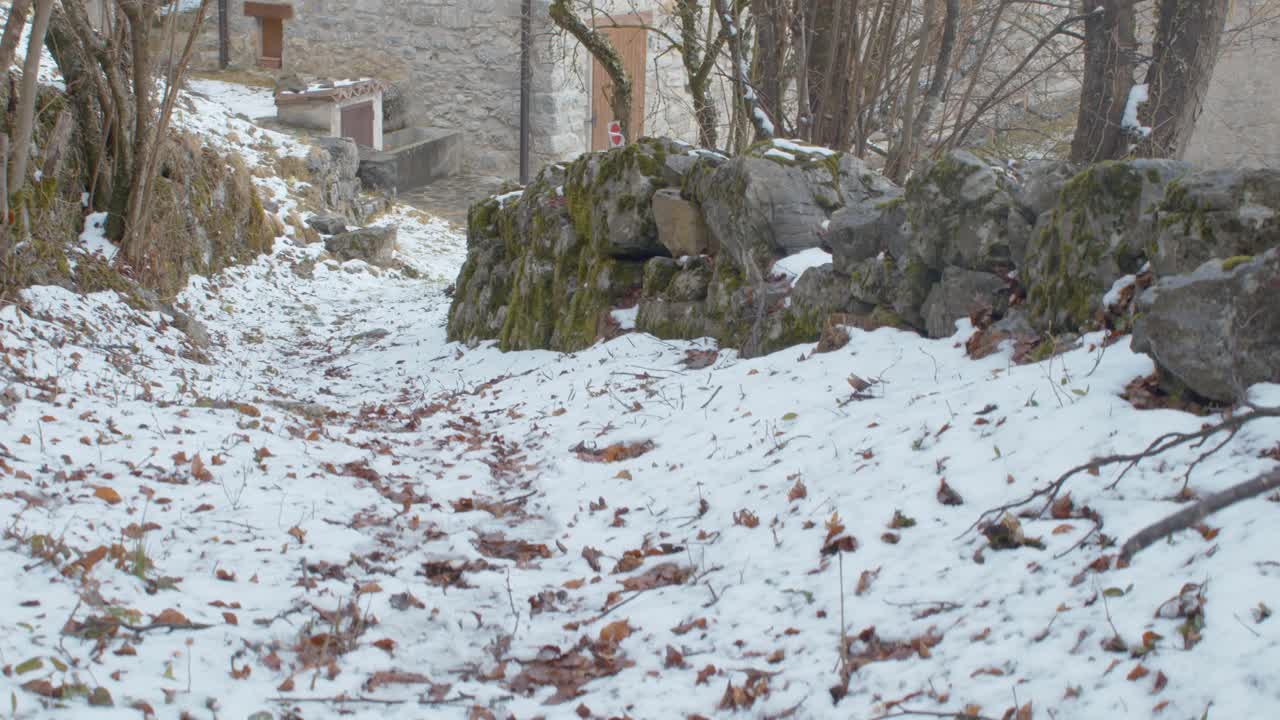 带着万向节走到雪山小屋视频素材