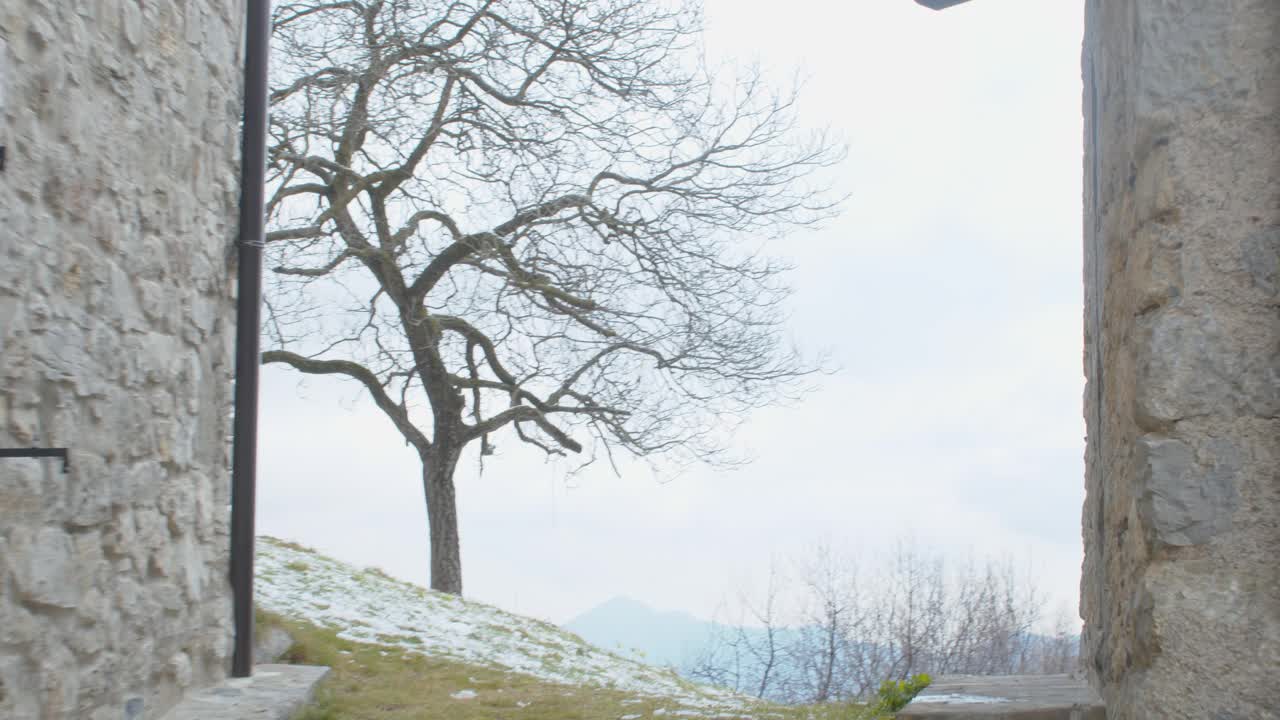 带着万向节走到雪山小屋视频素材