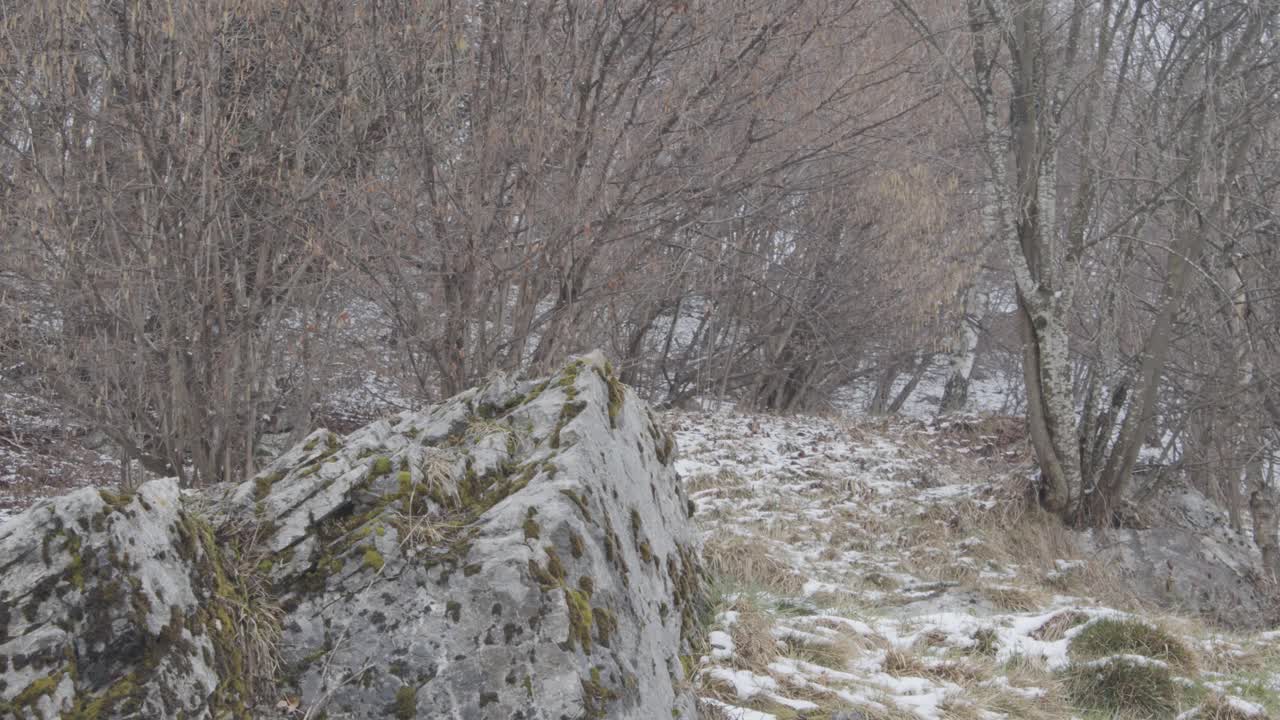 带着万向节走到雪山小屋视频素材