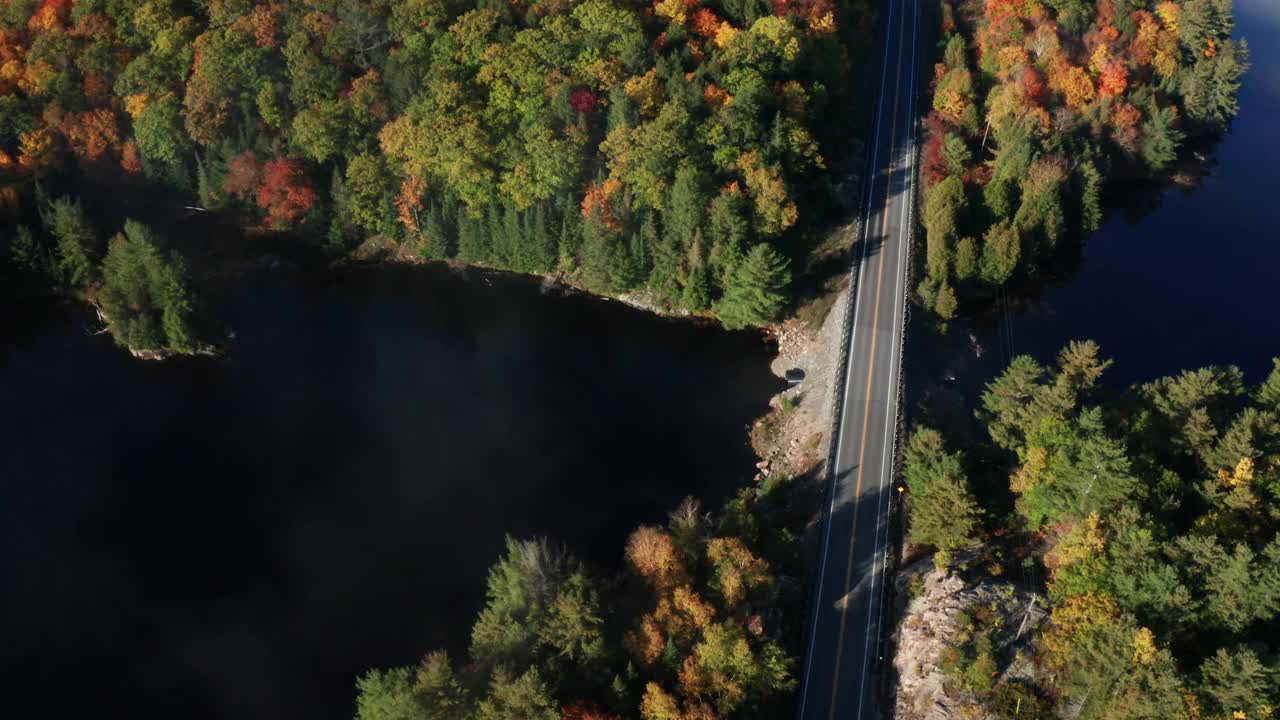 秋天的乡村公路视频下载