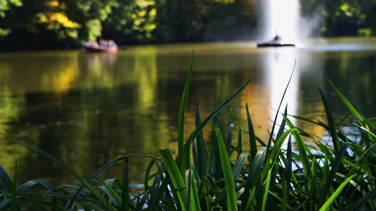 绿草在风中摇曳，映衬着湖泊和喷泉。视频素材