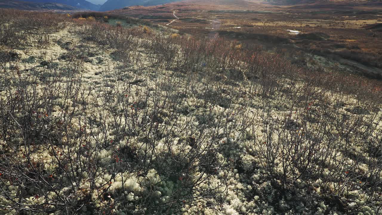 阿尔卑斯山苔原上令人惊叹的风景视频素材