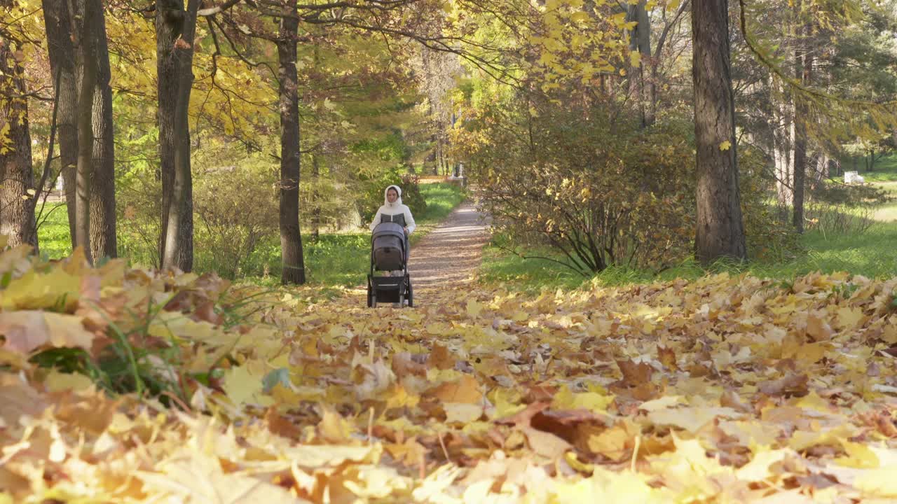 普希金的Tsarskoye Selo镇，母亲推着婴儿车在秋天的公园里散步。视频素材