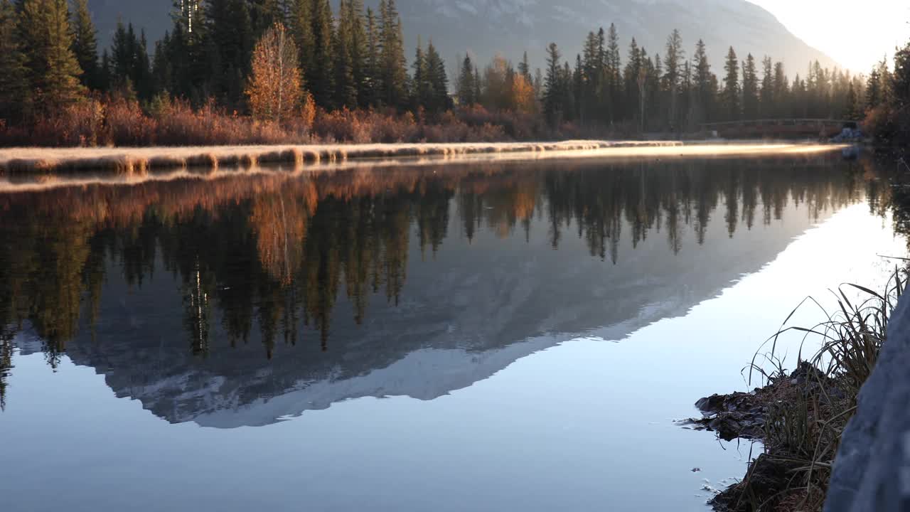 一个人停下来欣赏山溪对岸的风景视频素材