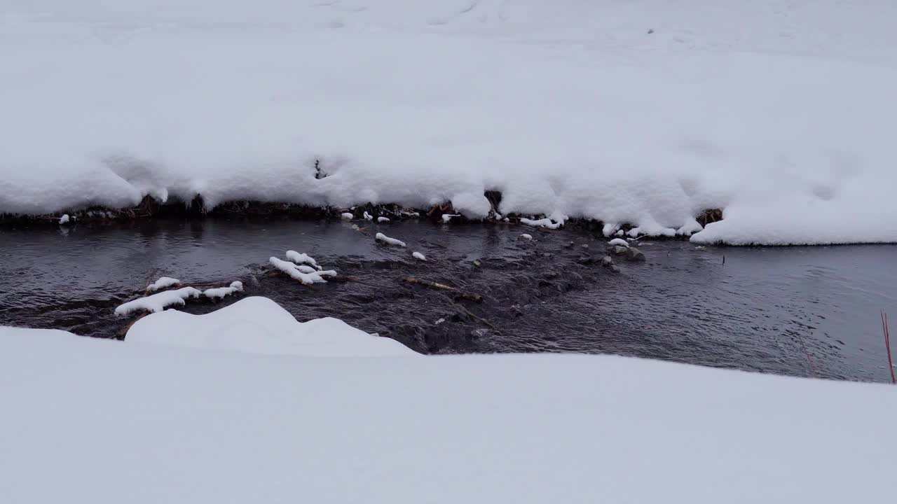 在冬天河。冬季森林河流流动。冬天雪林河流流动视频素材