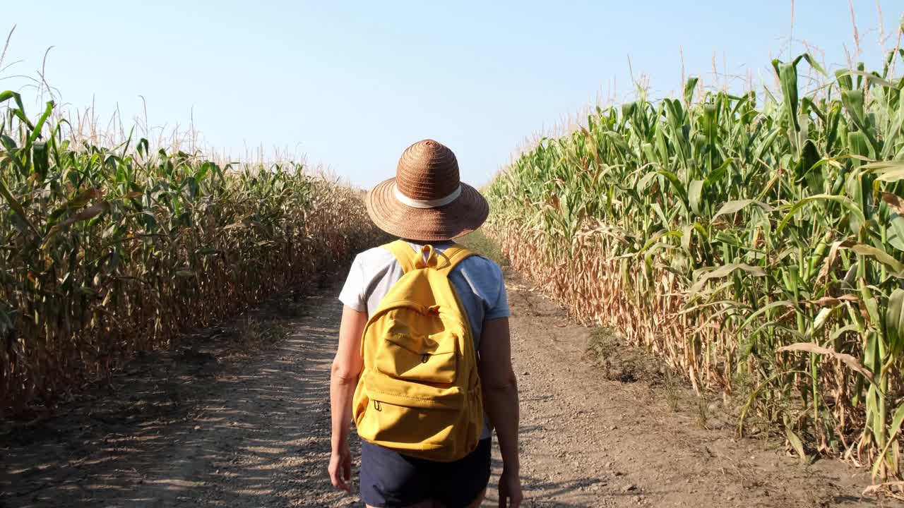 一个背着背包的女游客在夏日的树林里散步。女性徒步穿越森林。旅游的概念视频素材