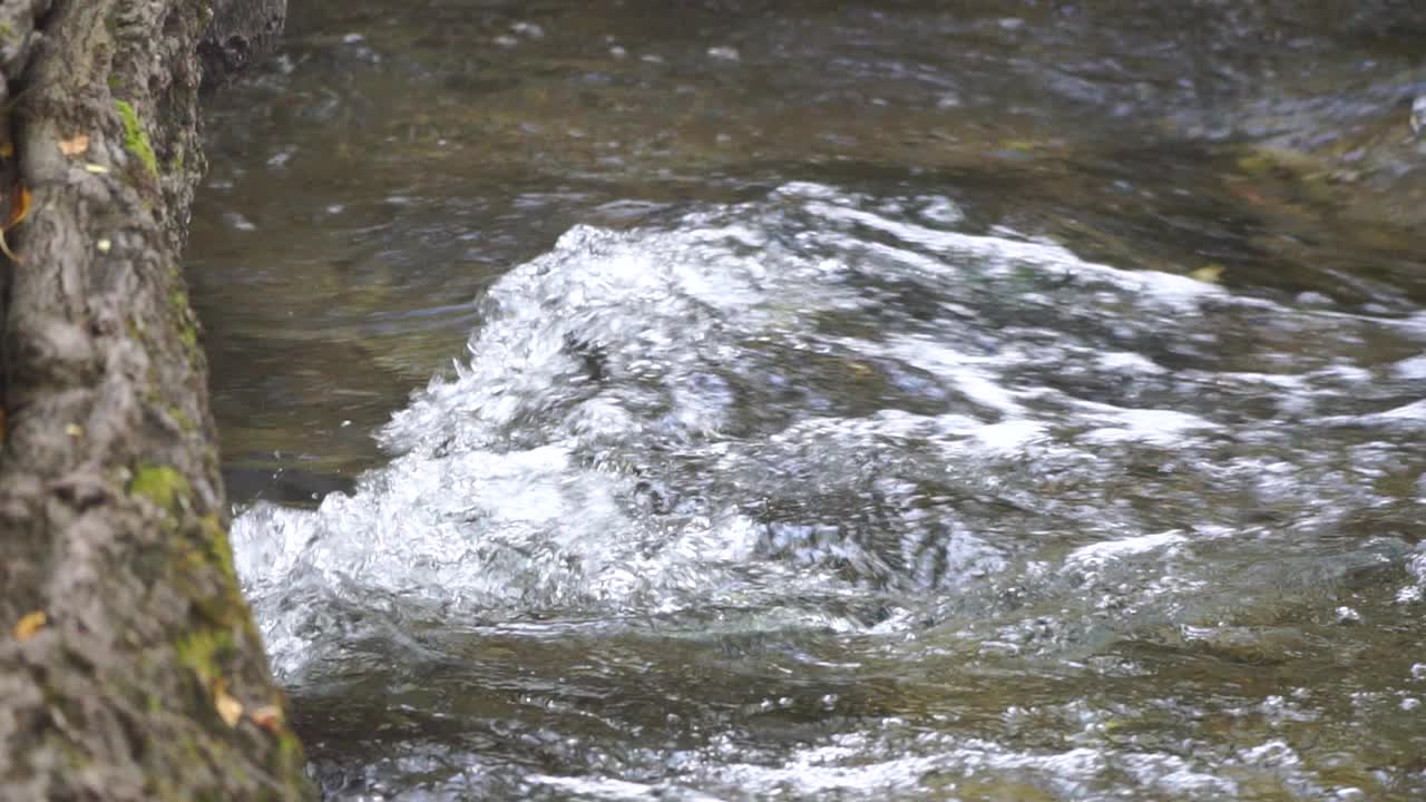 慢动作特写的急流，迅速流动的泉水与一些秋天五颜六色的叶子在水中。灰色的大石，秋天的落叶。瀑布在下降。大自然的风景视频素材