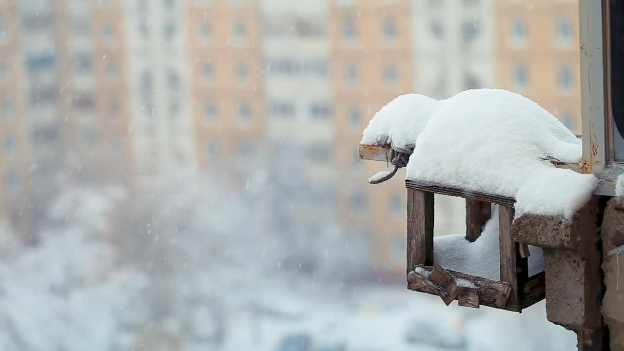 冬天在雪地里喂鸟。窗外又冷又下雪视频素材