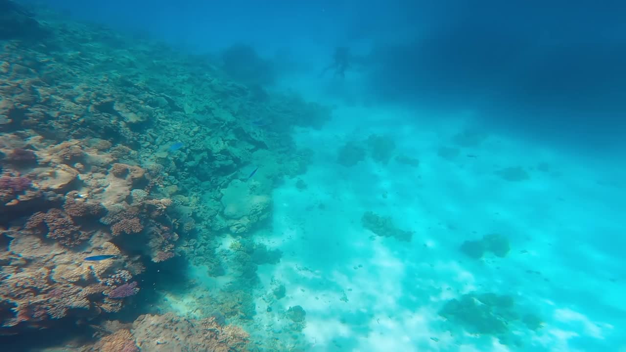 阳光灿烂的夏日里，红海的巨大珊瑚礁。视频素材