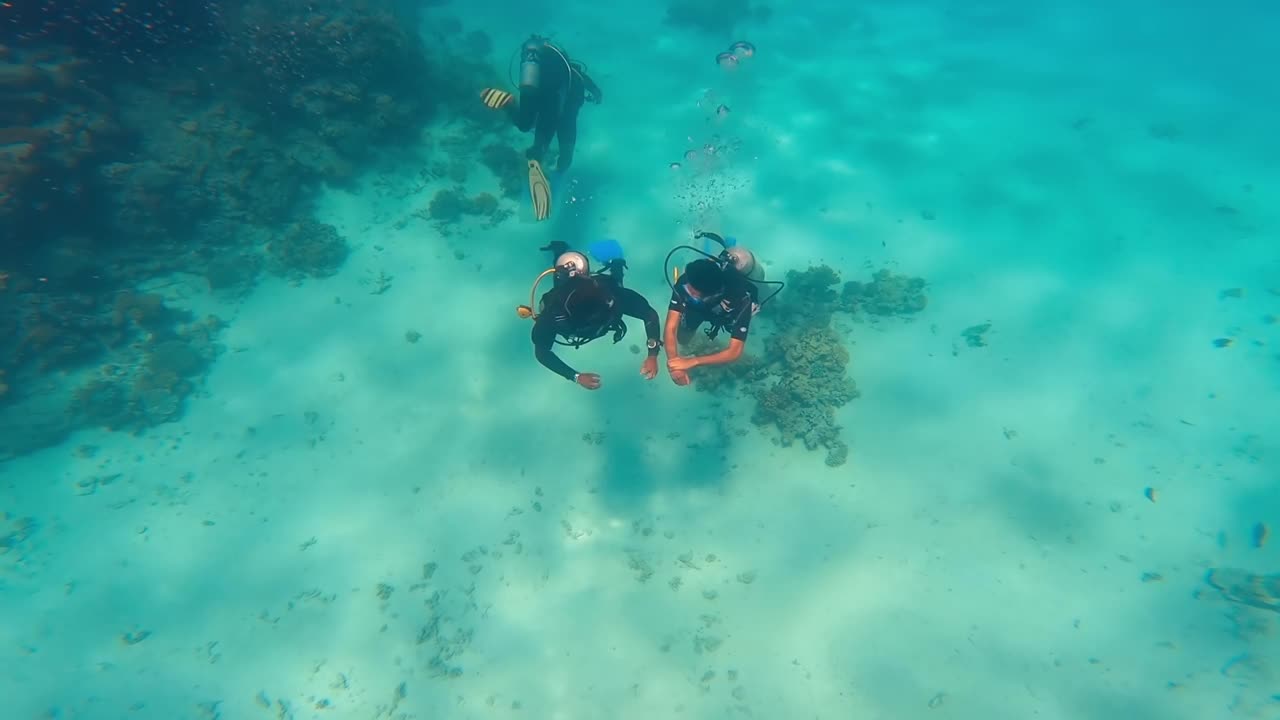 阳光灿烂的夏日里，红海的巨大珊瑚礁。视频素材